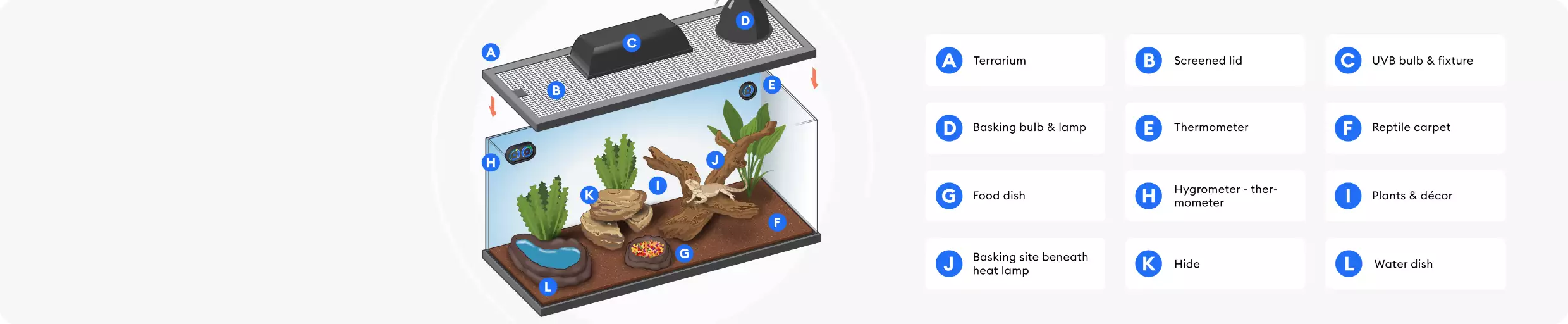 Illustration of terrarium and its components represented in the shopping checklist above.