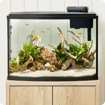 Petsmart aquarium clearance deals