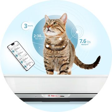 GPS Cat Tracker & Cat Collar with Wellness Monitoring