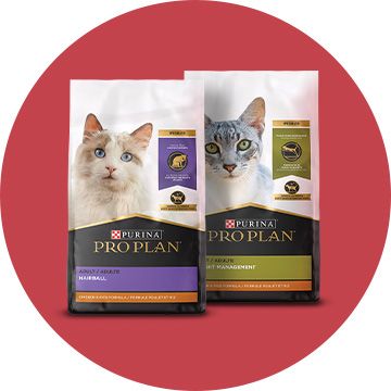 Purina Pro Plan Cat Food