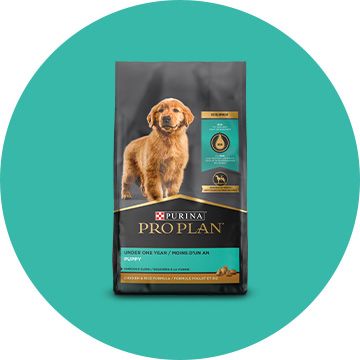 Pro Plan Weight Management Small Breed Dry Dog Food