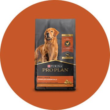 Dog food outlet sold at petsmart