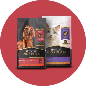 Specialized dog and cat food