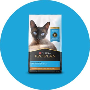 Purina Pro Plan Cat Food Kitten Food PetSmart