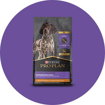 Purina Pro Plan Sport Select Savor Focus More PetSmart