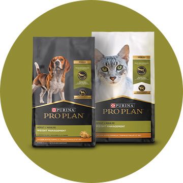 Weight management dog and cat food