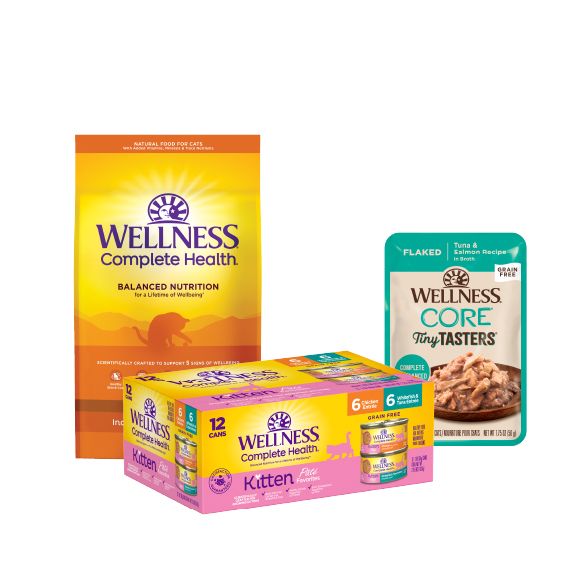 Wellness Complete Health Dry Cat Food Bag, Wellness Complete Health Wet Cat Food Variety Pack, & Wellness CORE Wet Cat Food Packet