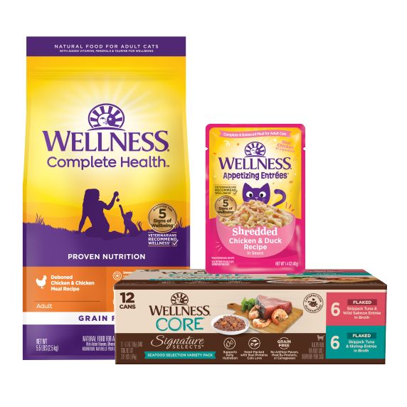 Wellness Complete Health Dry Cat Food Bag, Wellness Complete Health Wet Cat Food Variety Pack, & Wellness CORE Wet Cat Food Packet