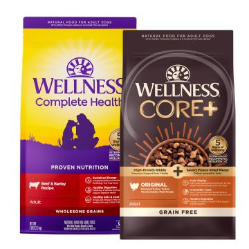 Wellness core best sale dog food petsmart