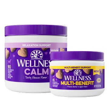 Petsmart wellness outlet dog food