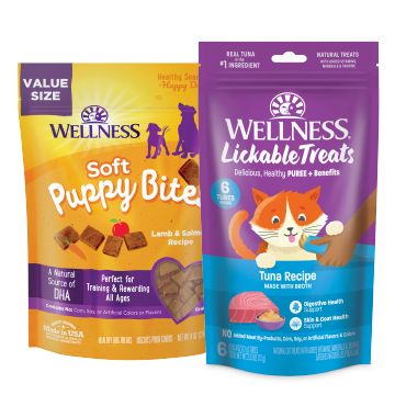 Petsmart wellness core outlet cat food