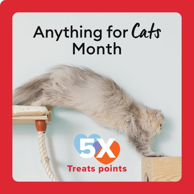 Pet Supplies, Accessories, and Pet Food - Pet Stores | PetSmart