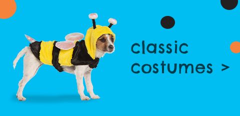 petsmart halloween dog toys