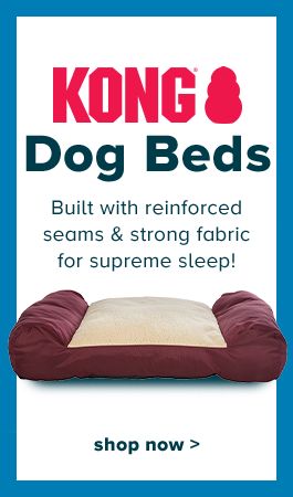 (KONG® logo) Dog Beds - Built with reinforced seams & strong fabric for supreme sleep! shop now >