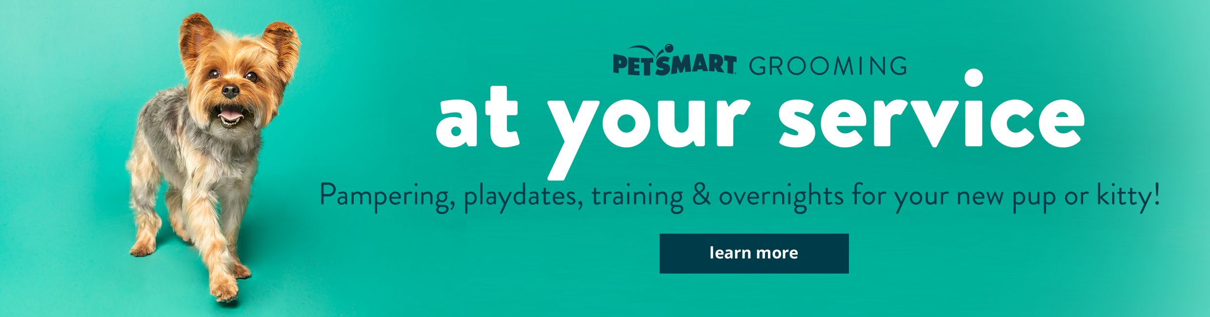 Pampering, playdates, training & overnights for your new pup or kitty!