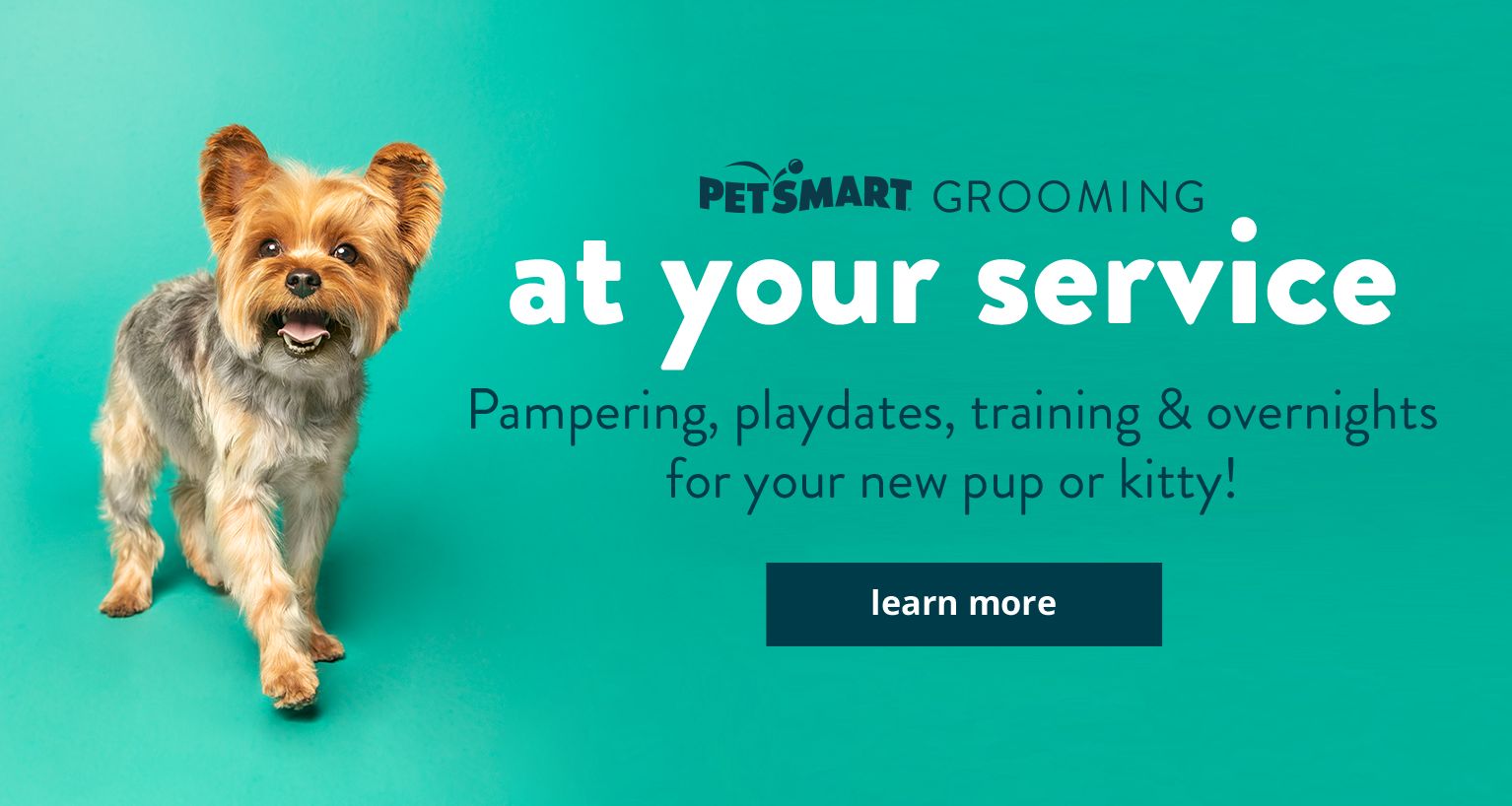 Pet Supplies Accessories And Products Online Petsmart