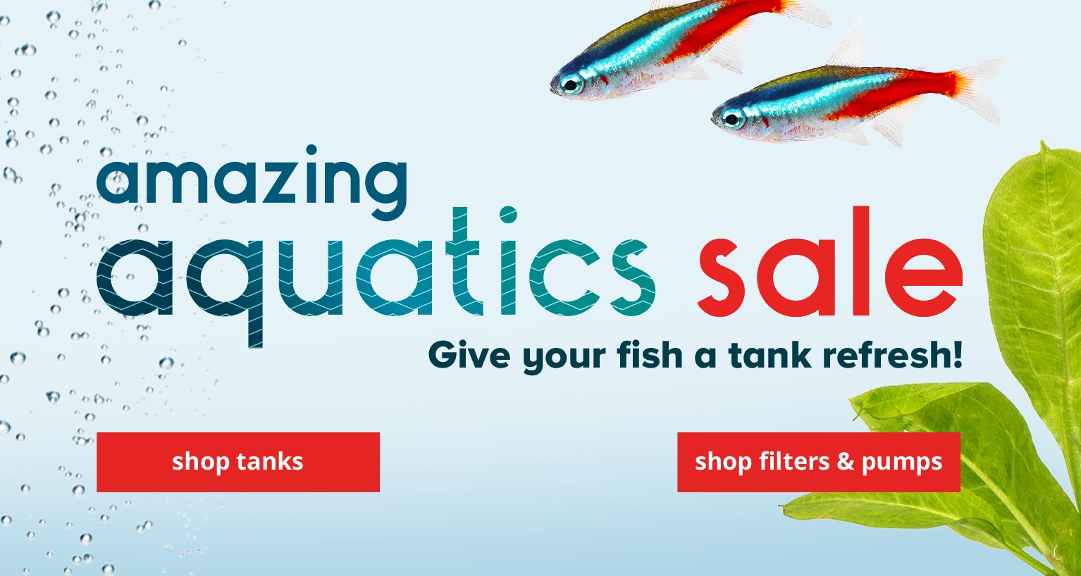 From pampering days & fun playdates to training classes & overnight stays, we're here to help!