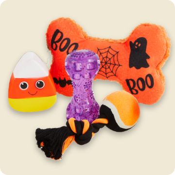Halloween Dog Costumes, Toys, Collars, Treats & Supplies