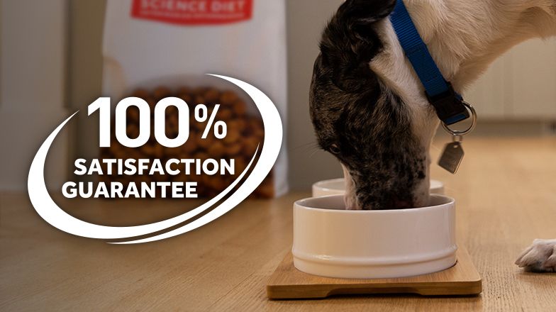 100% satisfaction guarantee