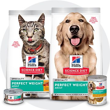 Science diet weight management hotsell dog food