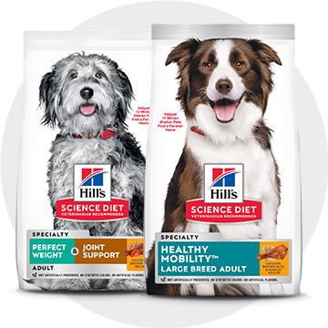 Hills dog outlet food