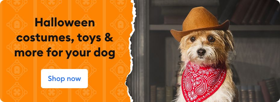 Halloween costumes, toys & more for your dog