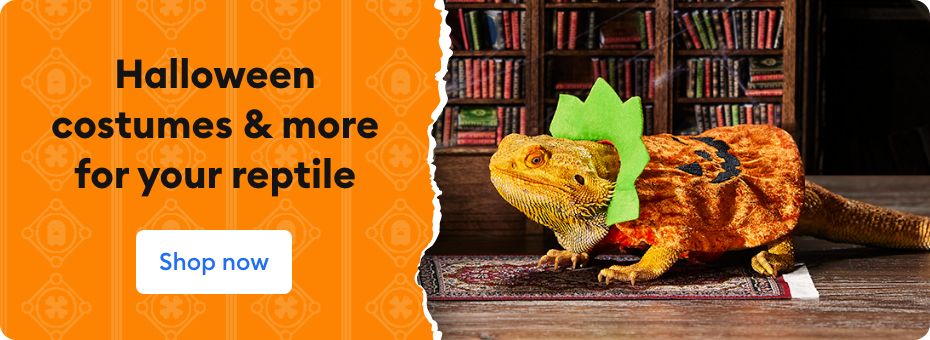 RARE* Stacking Discounts on Halloween Accessories at PetSmart