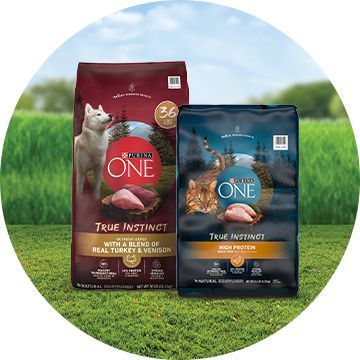 Purina ONE Pet Food PetSmart Canada