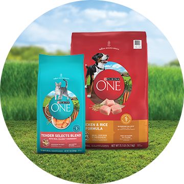 Purina ONE Pet Food PetSmart