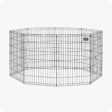 Medium size clearance dog crate petsmart