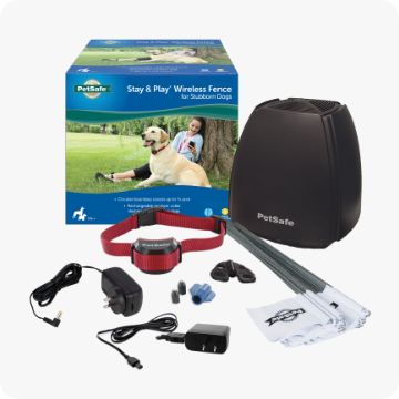 Petsmart best sale large crate