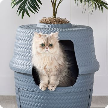 Cat inside litter box made to look like a planter