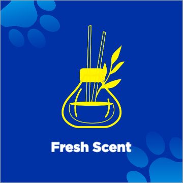 Fresh Scent