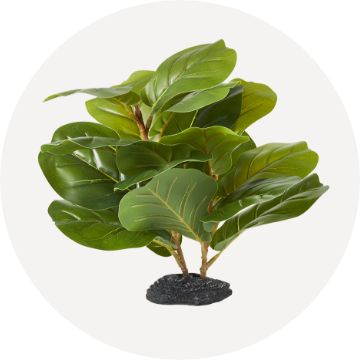 green leafy artificial plant