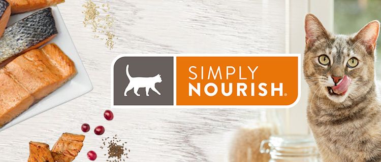 baby proof cat litter box PawsPik® Top Entry Cat Litter Box & Scooper (XL, Made with 304 Stainle