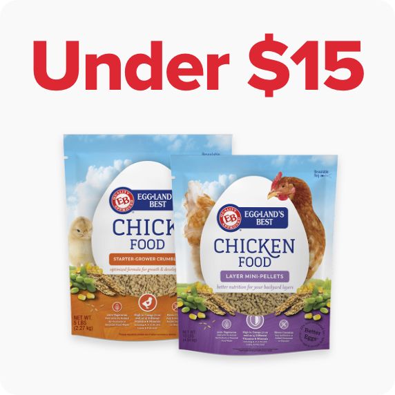 Petsmart chicken feed hotsell