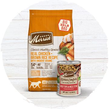 Merrick dry hotsell dog food