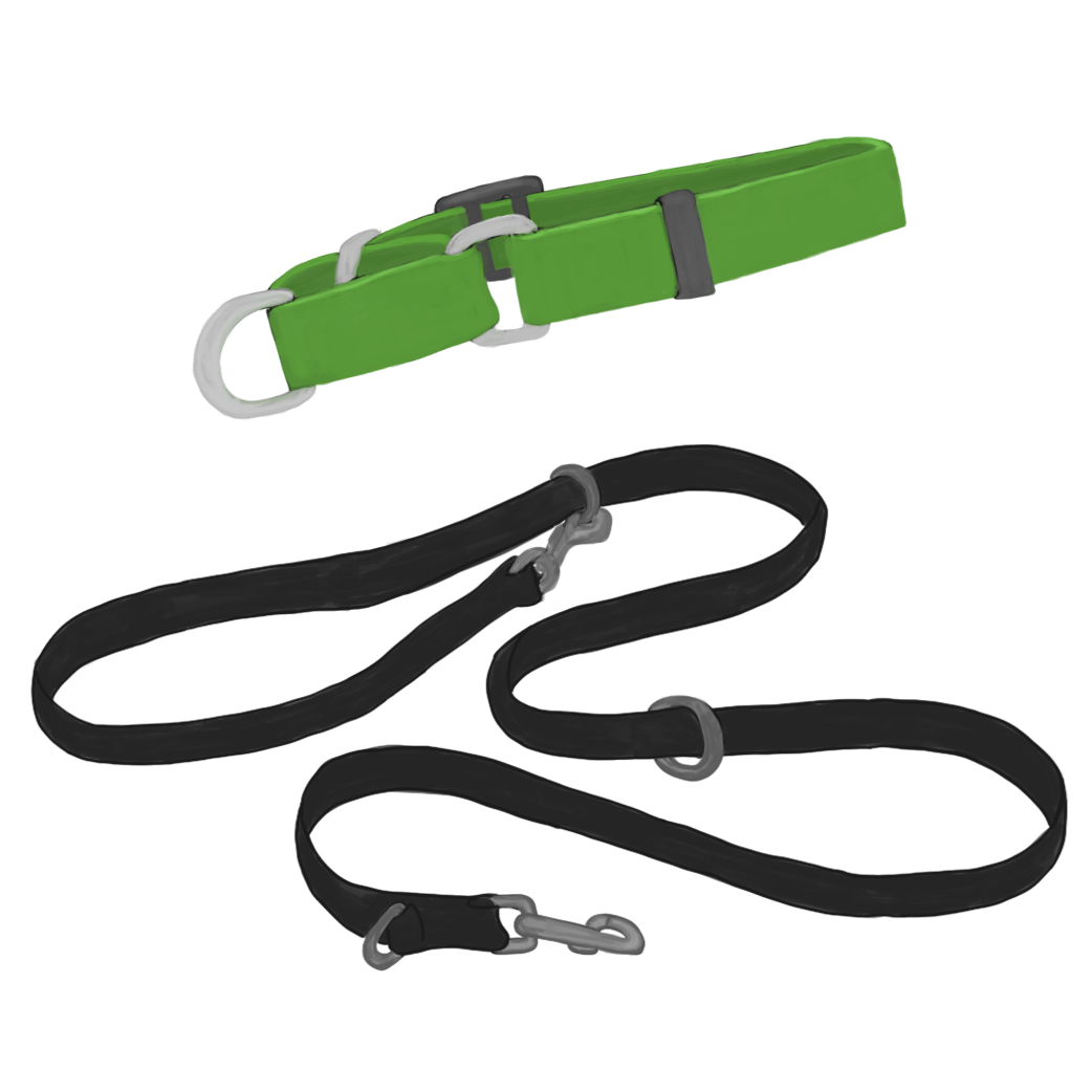 Training Collars, Leashes & Harnesses