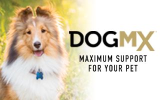 Banner for DogMX Brand Shop 