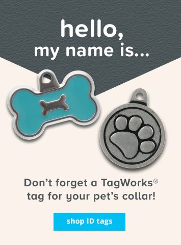 don't forget a tagworks tag for your pet's collar - shop id tags >