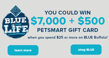 Pet Supplies Accessories And Products Online Petsmart
