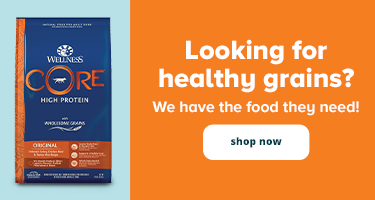 Pet Supplies Accessories And Products Online Petsmart