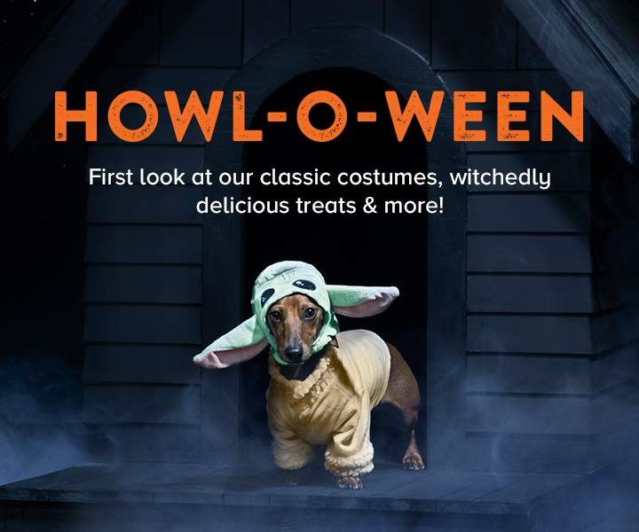 Halloween Pets Costumes, Toys, Treats & More at PetSmart