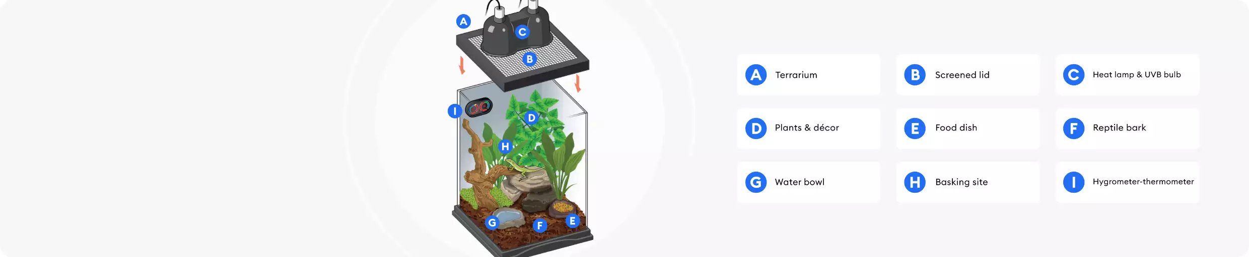 Illustration of terrarium and its components represented in the shopping checklist above.
