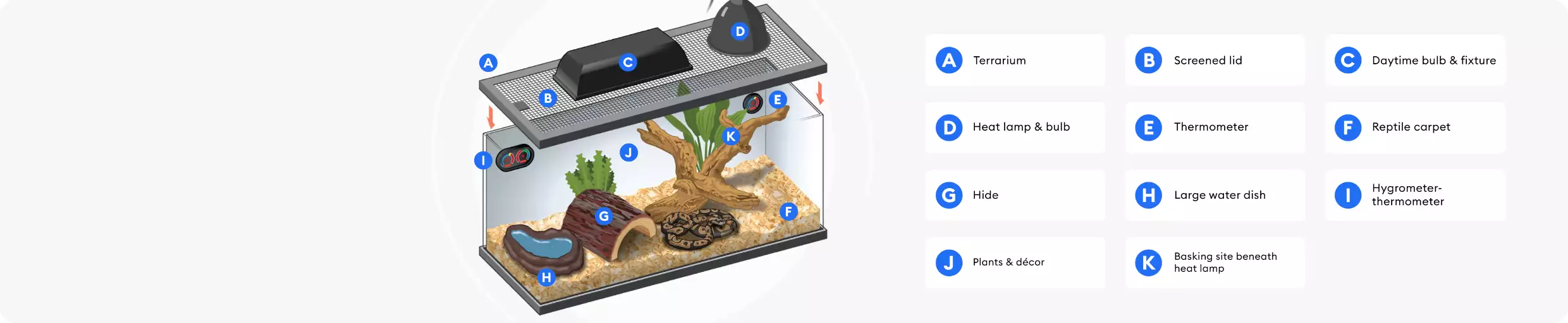 Illustration of terrarium and its components represented in the shopping checklist above.