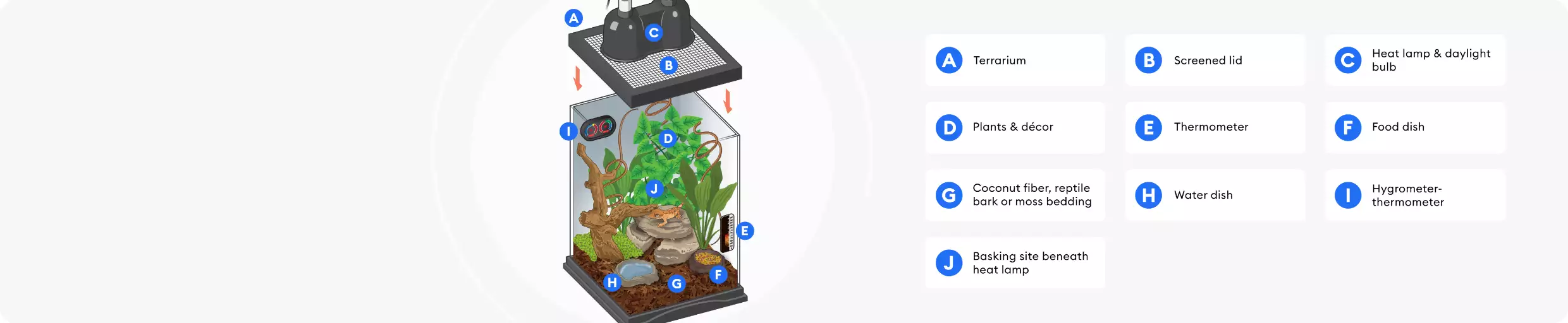 Illustration of terrarium and its components represented in the shopping checklist above.