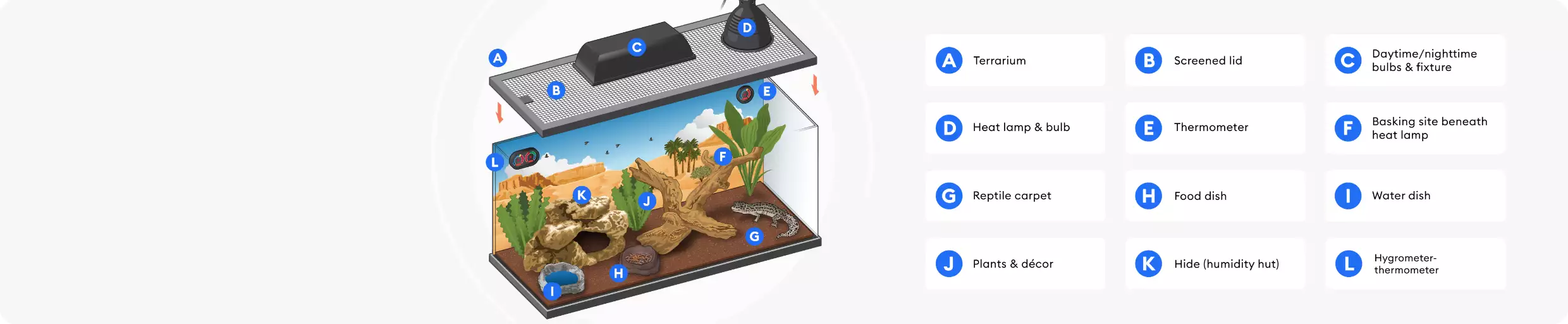 Illustration of terrarium and its components represented in the shopping checklist above.
