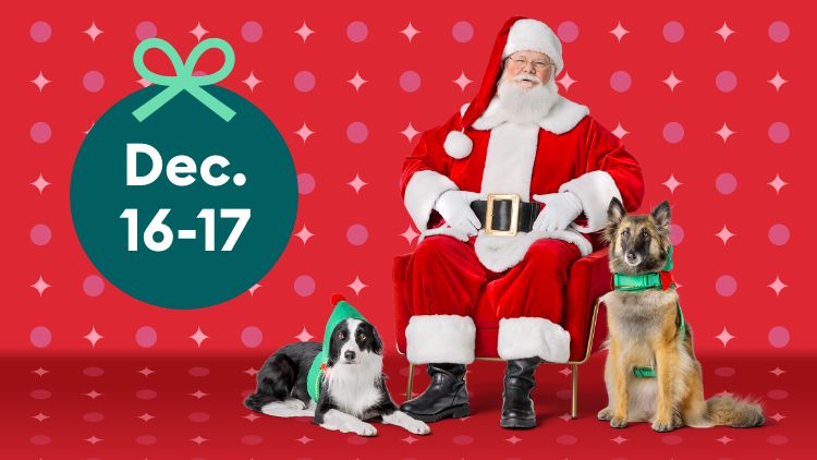 Image of a jolly Santa with two dogs against a red patterned background