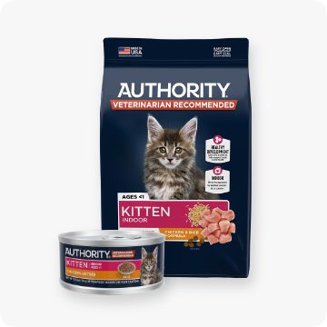 Kitten Food Dry Wet Kitten Food PetSmart