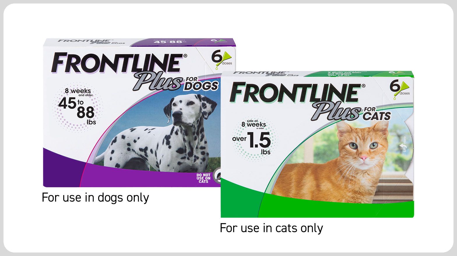Frontline Plus for Dogs or Cats